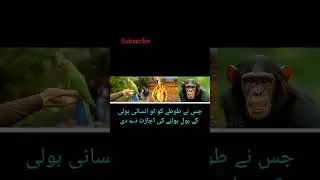 Allah is the great creater 💞 #allah #tranding #viral #video #2025
