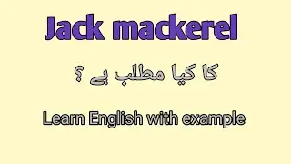 Jack mackerel meaning in Urdu | jack mackerel meaning in Urdu/ Hindi 