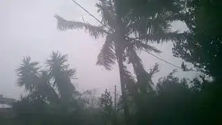 Melissa It was!#wind#rain#hurricane 