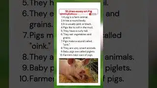 10 Lines on Pig in English | 10 Lines on Pig | 10 Lines Essay on Pig