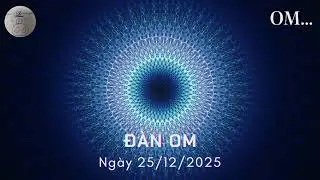 Đàn OM ngày 25/12/2025