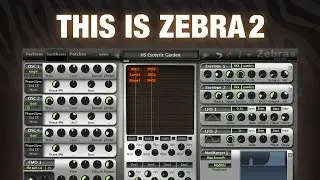 This is Zebra2 (1080p HD version)