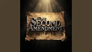 The Second Amendment
