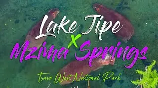 Unforgettable Adventure: Overlanding to Lake Jipe X Mzima Springs || Part 2
