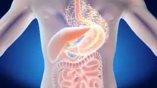 What is Liposome technology?