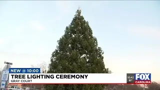 Tree lighting ceremony in Gray Court