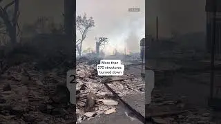 Maui wildfires are the deadliest since 2018