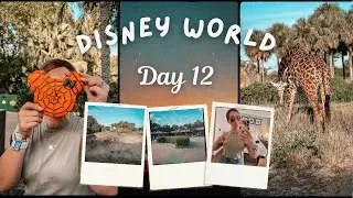 WALT DISNEY WORLD VLOG! ⭐️DAY 12 | Cracker Barrel| Saratoga Springs | Animal Kingdom| Disney Springs