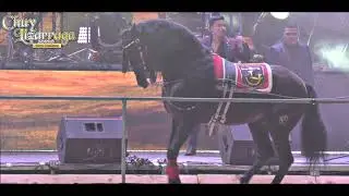 Chuy Lizarraga - La Rabia
