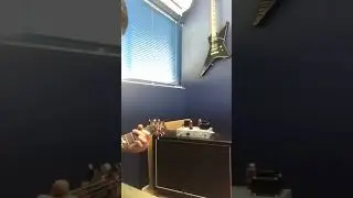 Fender Champ(5F1) Clone