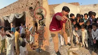 Pahli Dafa itna Bara Snake Pakra 😱