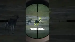 Melanistic Diamond Whitetail: COTW! #cotw #shorts
