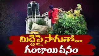 From Organic to Illegal: The Shocking Twist in Rooftop Farming | మొక్కల ముసుగులో మత్తు సాగు