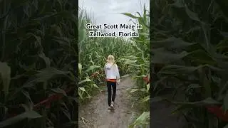It&rsquo;s a-MAZE-ing! Go visit! #florida #cornmaze #visitflorida #fallvibes