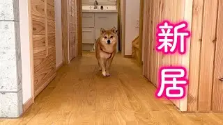 遂に軽井沢での新しいお家にやってきました…！