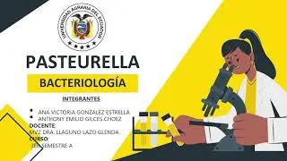 PASTEURELLA  - ANTHONY GILCES Y ANA GONZ&Aacute;LEZ  - MEDICINA VETERINARIA 3''A''