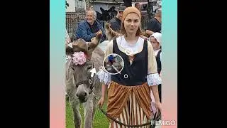 Aux Marais f&ecirc;te de l'&acirc;ne et des traditions