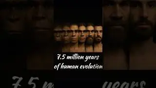 Million Years of Human Evolution #shorts #humanevolution #evolution #timelapse #monkey #transition