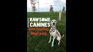 RAWsome Canines | raw feeding meal prep