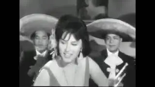 el piporro el terror