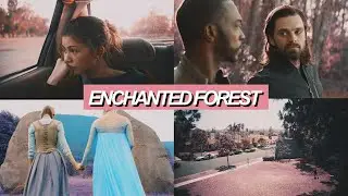 Sony Vegas Colouring | Enchanted Forest