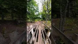 Would You Cross This Wobbly Woodland Bridge? 🌲 | Peak District Adventure
