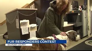 Four-legged first responder Jersey going for statewide recognition through 'Fur Responders' contest