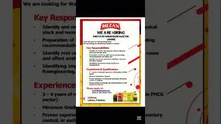 Executive Warehouse Auditor | Mezan Group Lahore #lahorejobs #careerinpakistan