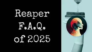 В 2025 году Reaper искал ответы на часто задаваемые вопросы.