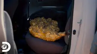 Tres momentos en donde Parker busca oro al otro lado del mundo | Fiebre del oro | Discovery