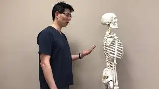 Postural Exercise and principles behind these exercises