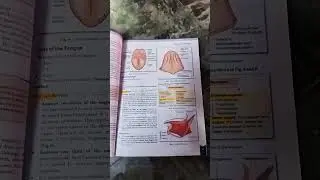 # Digestive system full chapter for nursing students# mist important chapter#