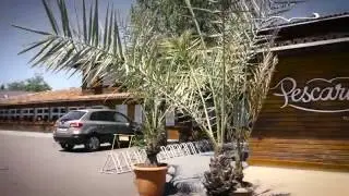 Restaurant Pescarus