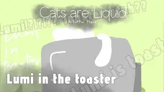 Lumi in the toaster | Cats are Liquid ABP