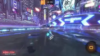 RL playing till loss