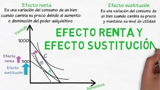 Efecto renta y efecto sustitución | Cap. 30 - Microeconomía