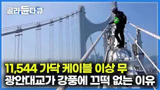 지붕이 날아갈 정도의 강풍에도 광안대교가 안전한 이유｜11,544 가닥 케이블 이상 무. 엄청난 구조의 광안 대교 내부 공개｜극한직업｜#골라듄다큐