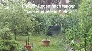 Endlich Regen in Sielow