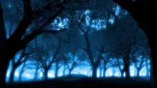 Mini Darkpsy/Forest Mix