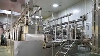 rapeseed peanut sunflower oil extraction and peanut protein powder production 50ton per day