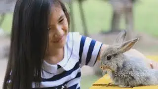 BUNU the Bunny🐰Cute Bunny Story kids cartoon