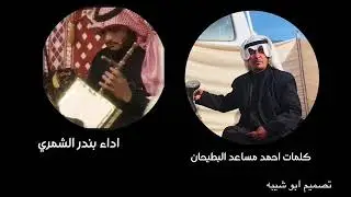 ربابة/ بندر بديوي الشمري