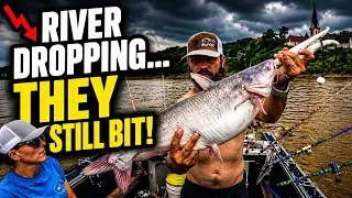 Fishing the rapidly DROPPING Ohio River after a spring of flooding!