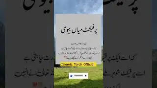 Mian Biwi Ka Relationship 😍||Miyan Biwi Ka Taluq||Islamic Torch Official #shorts