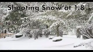 Shooting Snow with the Nikon Z8 and 135mm Plena Wide Open at 1.8