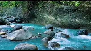 Calm River Sounds for Sleep. Gentle Stream, Nature Ambience. White Noise for Study & Relaxation