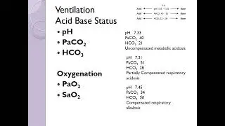 Resp failure part 1