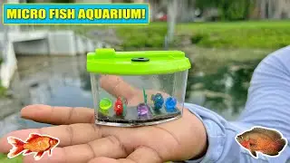 MICRO AQUARIUM: Catching Wild Pet Fish with a Net!!!