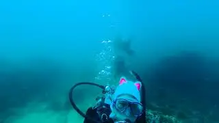 Insta360 One x Scuba Dive at Manta Bommie North Stradbroke Island  Brisbane 22/12/2019 with Go Dive