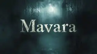 Shirdel - Mavara | Official Audio (2025)